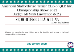 4.A.3. REDWHITENBLU LADY LUNA.png